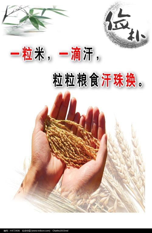 九州共立大学公共管理文凭证书